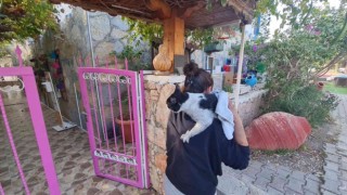 Bodrumda otel alevlere teslim oldu
