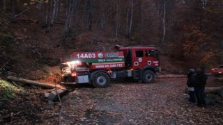 Boluda orman yangınında 1,5 hektarlık alan zarar gördü