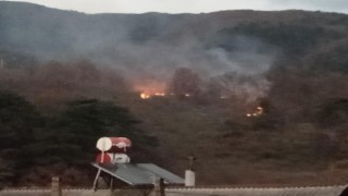 Boluda ormanlık alanda çıkan yangın korkuttu