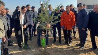 Bolvadinde 600 fidan toprakla buluştu