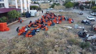 Bu meyvenin kurusu yaşından 10 kat pahalıya satılıyor
