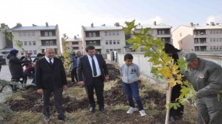 Bulanıkta, fidanlar toprakla buluştu