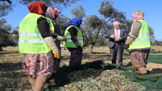 Burhaniyede Başkan Deveciler zeytin işçileri ile buluştu