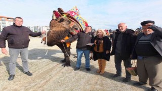 Burhaniyede kadın güreş sever