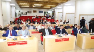 Burhaniyede zeytin katliamının önüne geçilecek