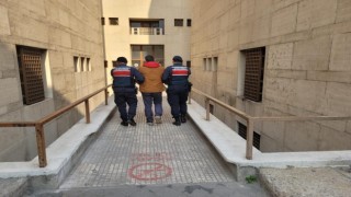 Bursada jandarmadan hırsız operasyonu