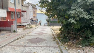 Büyükçekmecede çocuğu köpek ısırınca ortalık savaş alanına döndü