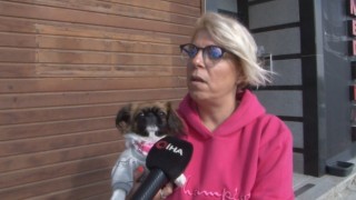 Büyükçekmecede pencereden düşen köpeği havada yakaladı
