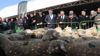 Büyükşehir Belediye üreticiyi desteklemeye devam ediyor