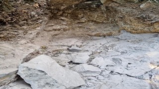 C4 gibi patlayan gübre definecinin sonu oldu
