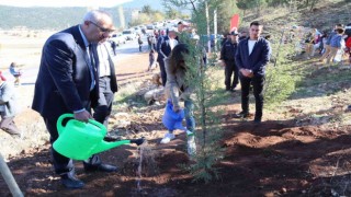 Çamelinde fidanlar toprakla buluştu