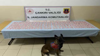 Çankırıda jandarma ekipleri suça geçit vermiyor