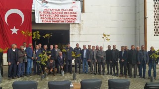 Çelikhanda 2 bin adet ceviz fidanı dağıtıldı