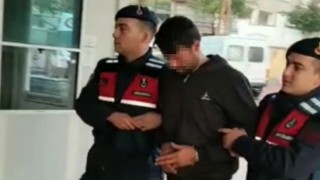 Çiftçilerin kabusuna ‘Yarasa avı operasyonu