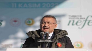 Cumhurbaşkanı Yardımcısı Oktay: “600 milyon fidanı yıl bitmeden toprakla buluşturmuş olacağız”