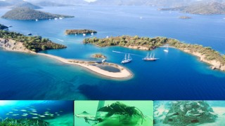 Deniz ekosistemi korunacak