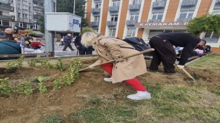 Devrekte topraklar taflan ile buluştu