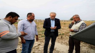 Didim Belediyesi üretiyor, vatandaş kazanıyor