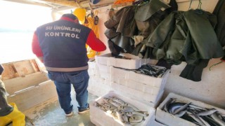 Didimde su ürünleri denetimi yapıldı
