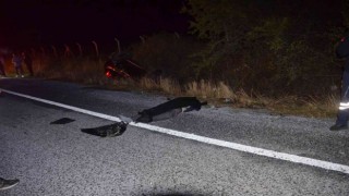 Didimde trafik kazası: 2 ölü