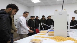Diyarbakırda meslek lisesi öğrencileri yem, hububat ve un analizi yaptı