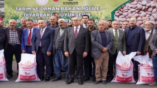 Diyarbakırlı çiftçilere kırmızı mercimek tohumu desteği