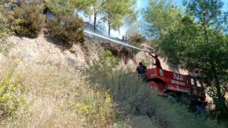Dörtyolda çıkan orman yangını söndürüldü