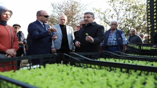 Düzcede ‘Salata, Marulsuz olmaz projesi başladı