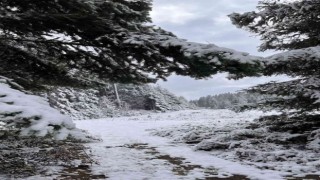 Düzceye mevsimin ilk karı düştü
