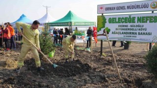 Edirnede 8 ayrı noktada 32 bin fidan toprakla buluştu