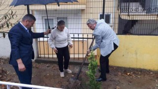 Edremitte Eylül ayında vefat eden öğretmen adına okuluna fidan dikimi yapıldı