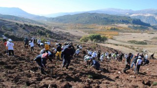 Eğirdirde 2 bin fidan toprakla buluştu