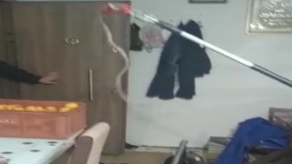 Elazığda eve giren 1 metrelik yılan paniğe neden oldu, ailenin yardımına itfaiye ekipleri yetişti