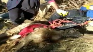 Elazığda su kuyusuna düşen keçi kurtarıldı