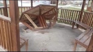 Elbistanda park ve mesire alanlarındaki kamelyalar tahrip edildi