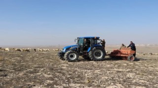 Emirdağda sulu ve kuru buğday çeşitlerinin deneme ekimi yapıldı