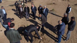 Erzincan TSOya ait hatıra ormanına fidan dikildi