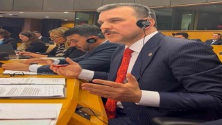 Esgin, Brükseldeki AB Parlamentosunda önemli mesajlar verdi