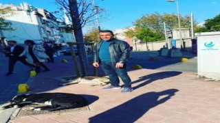 Fatihte kavgaya karışanları ayırmak isterken kurşunların hedefi oldu