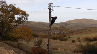 Gevaşta 2 milyon TL bedelle havai elektrik hattında izole kablo montajı yapıldı