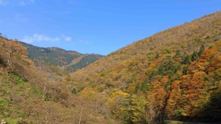 Giresun yaylalarında sonbahar esintileri