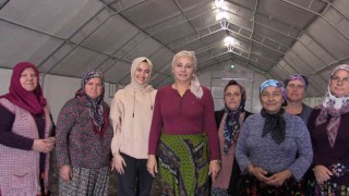 Gönene 500 kaz yetiştirme tesisi ve kazevi projesi