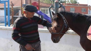 Gözü gibi baktığı rahvan atlarıyla binlerce yıllık geleneği yaşatıyor