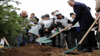 Gümüşhanede Milli Ağaçlandırma Gününde binlerce fidan toprakla buluştu