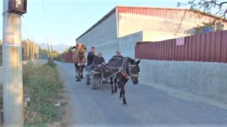 Güreş develeri antrenmana başladı