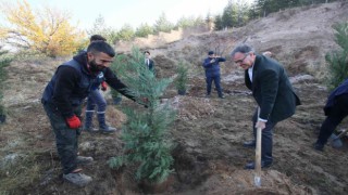 Hacılarda bin 111 Fidan Toprakla Buluştu