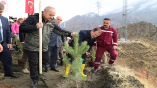 Hakkaride 2 bin 500 fidan dikildi