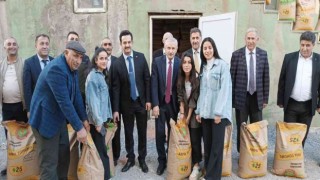 Hakkarideki çiftçilere buğday ve tohum desteği