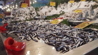 Hamsi 40 liradan tezgahlardaki yerini aldı