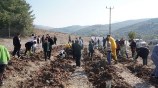 Hasanbeyli İlçesi’nde fidanlar toprakla buluştu